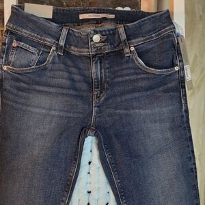 Hudson Jeans Beth Olympic